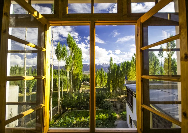 Window Casing Repair in Denver County, CO